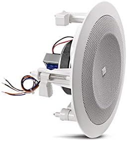 JBL 8124 Loudspeaker White