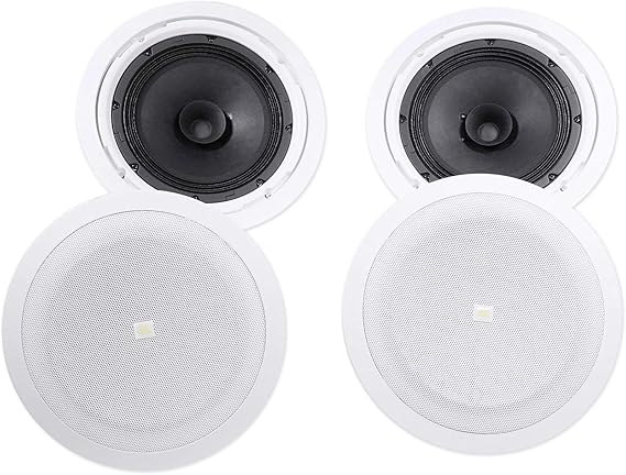 JBL 8128 Speaker