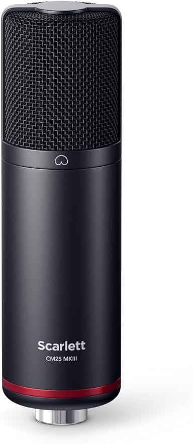 Professional Microphone