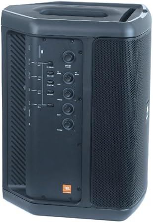 Professional All-in- 1 Personal System