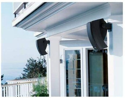 Bose 251 Environmental Speakers Image