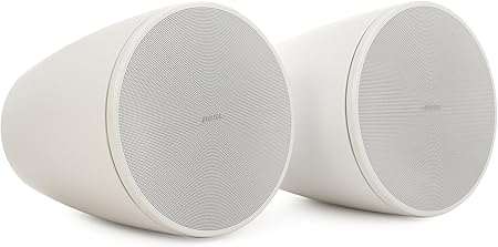 Bose Professional DesignMax Speaker