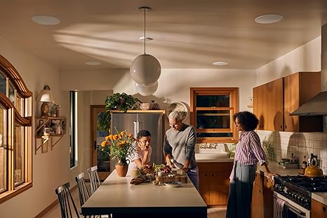 in-Ceiling Speaker