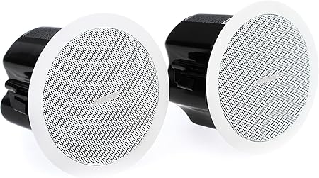 Bose Professional FreeSpace